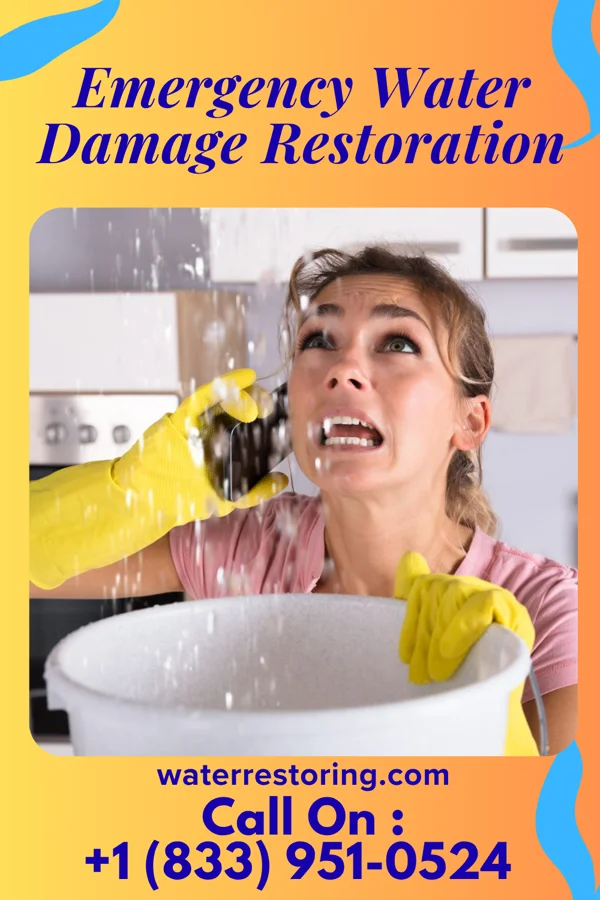 Emergency Water Damage Restoration in Seibert, CO